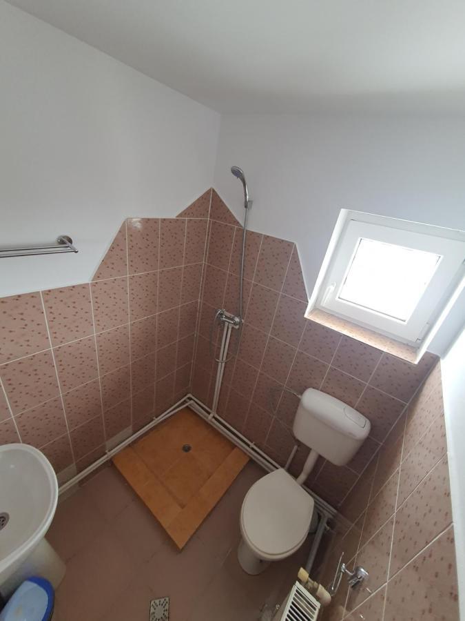 Casa Edi Hotel Poiana Negrii Bagian luar foto